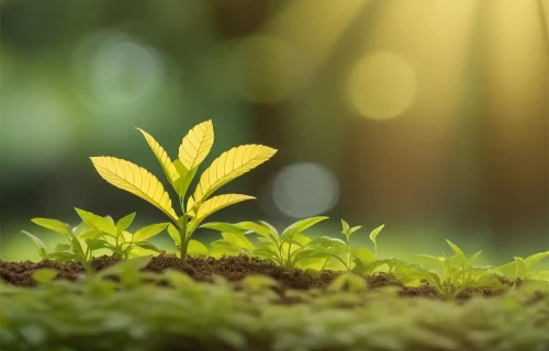 Grow Confidently with Surge CRM