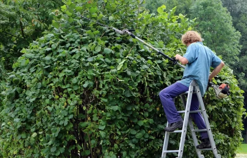 Work Smarter Not Harder Scale Your Landscaping Empire